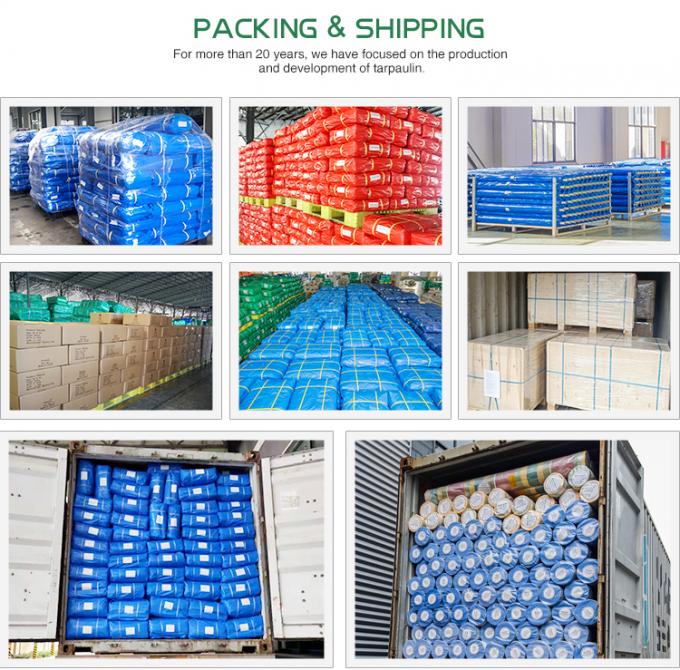 Blauw Kleur PE Tarpaulin Waterdicht Marquee Stof Gemaakt In China Warm Verkoop Lange Levensduur Tarpaulins 1500D Auto Cover 6