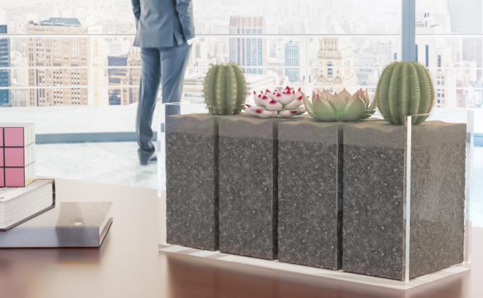 Creative Space Utilization, use it as a Mini Succulent Pot