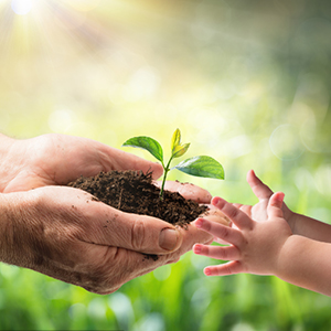 100% composteerbare handschoenen, cornstarchgloves, foodservice wegwerphandschoenen, foodprep kookhandschoenen, milieuvriendelijk 3