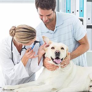 field dressing gloves