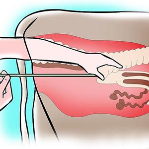 deer cleaning gloves