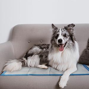 Eenmalige onderkussens Ultra Absorberende Ondekussens Baby Volwassen Huisdier Bedkussens Worry Free Overnight Protection Non-Skid Multiple 12