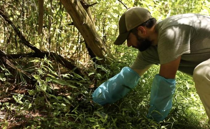 Niet-geweven handbeschermer Elastische sluiting Duurzaam armhandstuk Waterdicht wegwerp micro-porieus mouwdoek 1
