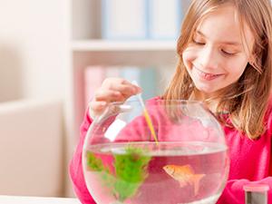 3 ml wegwerppipetten van kunststof, gekalibreerde dropper geschikt voor wetenschappelijk laboratorium, DIY-kunst (15) 4