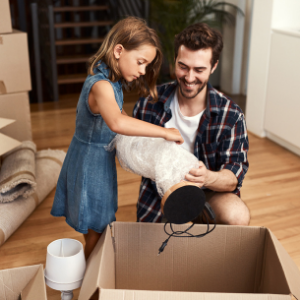 Bubbelrol 24 breed x 175 ft Kleine bubbels 3/16 geperforeerd elke 12, helder geperforeerd bubbelkussing wrap 2