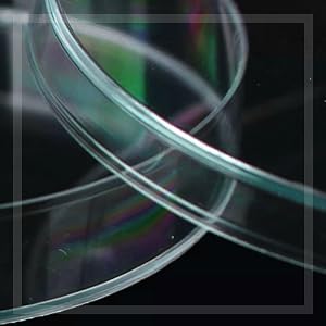 Steriele petrischalen met deksels (90 x 15 mm), 2 ml plastic pipetten voor laboratoriumanalyse, schoolprojecten, bloedmonsters 1