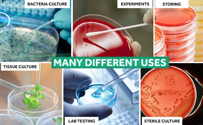 Steriele petrischalen met deksels (90 x 15 mm), 2 ml plastic pipetten voor laboratoriumanalyse, schoolprojecten, bloedmonsters 4