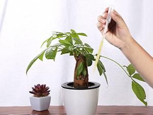 Eenmalige plastic overdrachtspipetten, heldere dropper voor essenti&euml;le oli&euml;n, wateronderzoek, laboratorium, doe-het-zelf kunst 8