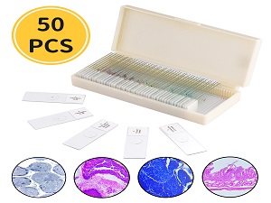100Pcs Microscope Slides with Specimens
