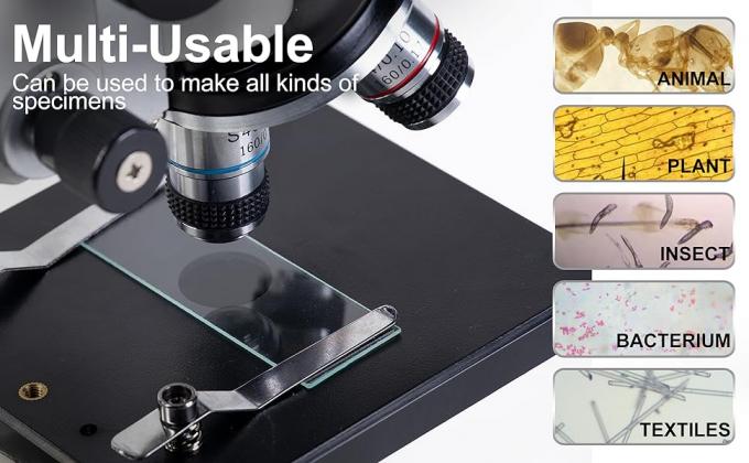 Microscope Slides And Covers