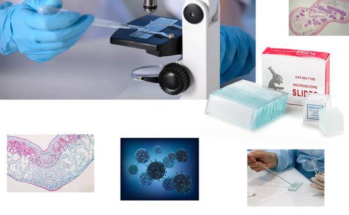 Microscoopplaten en -bedekkingen, lege glazen platen voor de microscoop - 300 platen, 300 bedekkingsplaten voor de microscoop 6