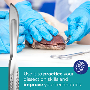 Geavanceerde ontleden kit - 37 stukken in totaal. 2