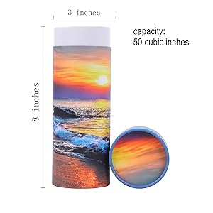 Begrafenisbenodigdheden Karton Biologisch afbreekbaar Dierenkoffer Kist Scatter Pod Papierbuis crematie As van huisdieren Scatterinh Urn 8