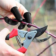 Rubberen vingerbedekking, siliconen vingerbeschermer mouw tips beveiliging vingertoppen duimbedden Pads voor hete lijm 9