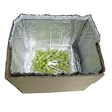 Ge&iuml;soleerde doosvoeringen voor 8x8x8 doosgrootte-verpakking dubbelzijdig ge&iuml;soleerd metalen folie-verzenddozen-ge&iuml;soleerd 3