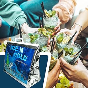 Recyclagezakken, geïsoleerde zakpakket, koeler zak wijn aangepast logo thermische wijn bier aangepaste grootte isolatie 1