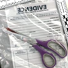 Politie bewijszakken, openbare veiligheid bewijszakken beveiligingszakken, plaats delict bewijscontainer, 6 "x 8", 100 pakket 4