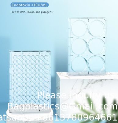 kwaliteit  Plastic Sterile 4 6 12 24 48 96 384 Wells Tissue Culture Plate Cell Culture Plate For Lab Free Sample Free Shipping fabriek