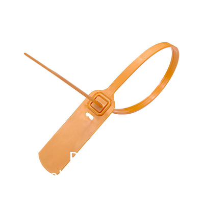 Eenmalig plastic vergrendelingssluiting voor zelfdichtheid, op maat gemaakt logo, plastic banddichtingen, plastiekdicht 30 cm voor de bank.