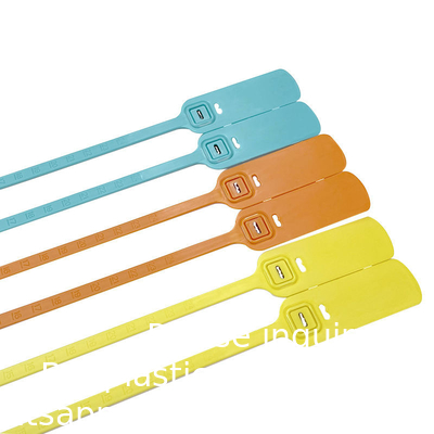 Eenmalig plastic vergrendelingssluiting voor zelfdichtheid, op maat gemaakt logo, plastic banddichtingen, plastiekdicht 30 cm voor de bank.