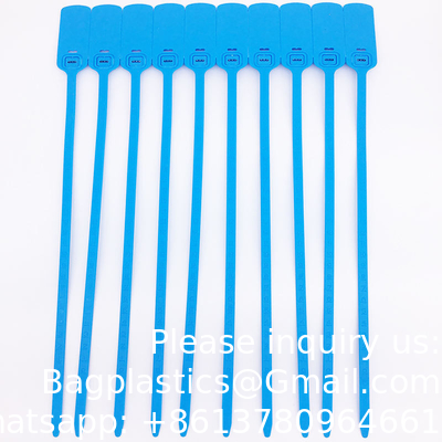 Eenmalig plastic vergrendelingssluiting voor zelfdichtheid, op maat gemaakt logo, plastic banddichtingen, plastiekdicht 30 cm voor de bank.