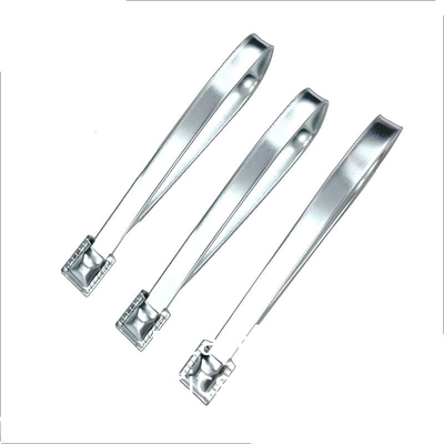 Hoog beveiligd trekstreng vaste lengte 20 cm metalen riem afdichting beveiliging metalen riem afdichting tag voor container / vracht
