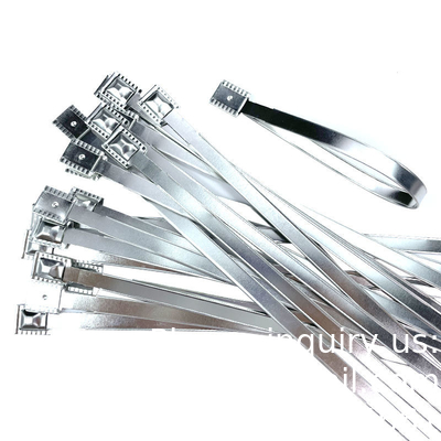 Hoog beveiligd trekstreng vaste lengte 20 cm metalen riem afdichting beveiliging metalen riem afdichting tag voor container / vracht