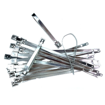 Hoog beveiligd trekstreng vaste lengte 20 cm metalen riem afdichting beveiliging metalen riem afdichting tag voor container / vracht