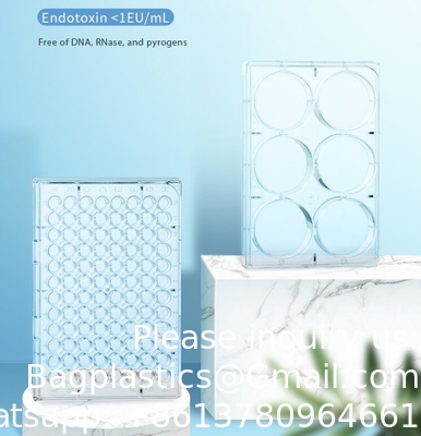 Plastic Sterile 4 6 12 24 48 96 384 Wells Weefselcultuur Plaat Cellencultuur Plaat Voor laboratorium Gratis monster Gratis verzending
