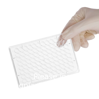Plastic Sterile 4 6 12 24 48 96 384 Wells Weefselcultuur Plaat Cellencultuur Plaat Voor laboratorium Gratis monster Gratis verzending