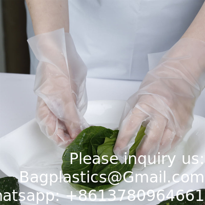 Groothandel CPE TPE LDPE HDPE Polyhandschoenen voor veelzijdige voeding Huishoudelijk werk Schoonmaak Doorzichtig Blauw Of Elke Kleur