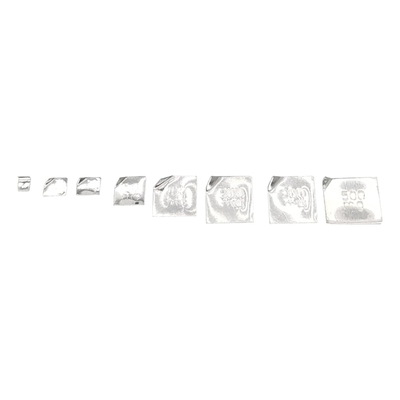 Schaalbalans kalibratiegewichtset met koffer - 10-500 g (8 stuks: 10 g, 20 g, 20 g, 50 g, 100 g, 100 g, 200 g, 500 g) 8 stuks is 1000 gram
