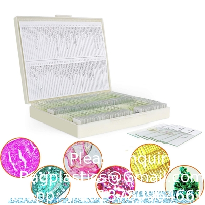 Microscoopdia's met monsters voor kinderen, bereid microscoopdia's Planten Dieren Insecten, microscoopdia's