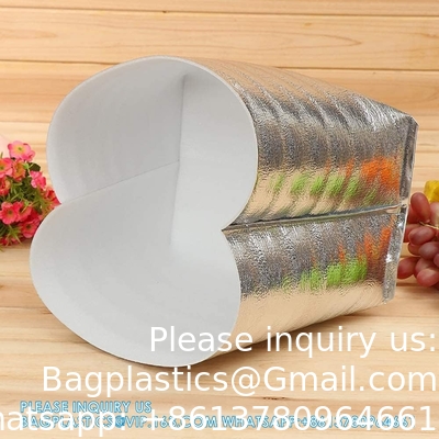 Herbruikbare isolatiezakken Thermische doosbekleding 13 X 8.5 X 12 Metallisatie doosbekleding voor lunchdoos Winkelwagen Insulati